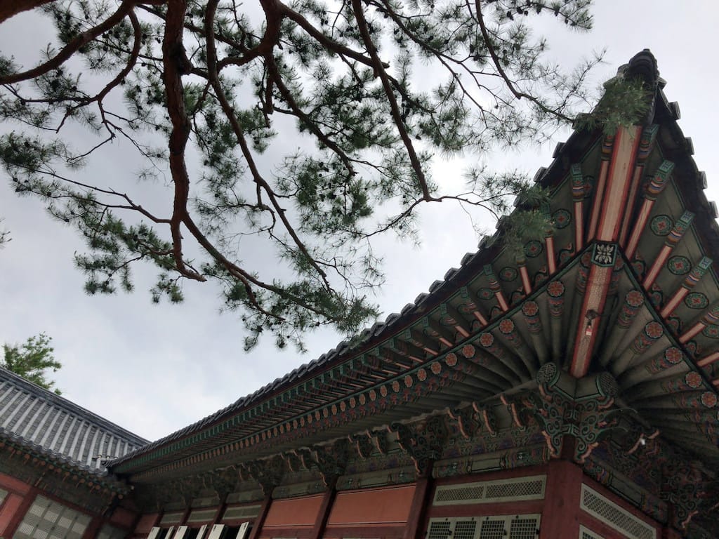 Trees and palaces at the National Palace Museum of Korea
