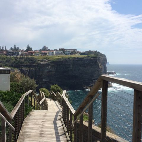 Wooden stairs at the Diamond Bay Cliffs, Sydney