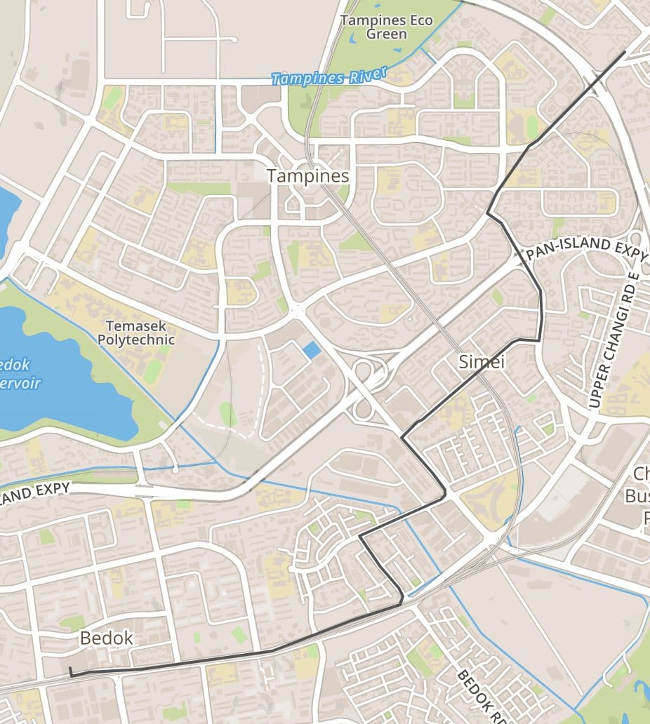 Bus route that is completed with Google Maps Snaps To Road API