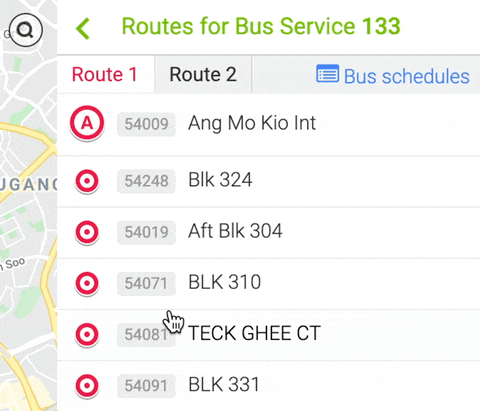 The old BusRouter SG, showing one service and two routes tab