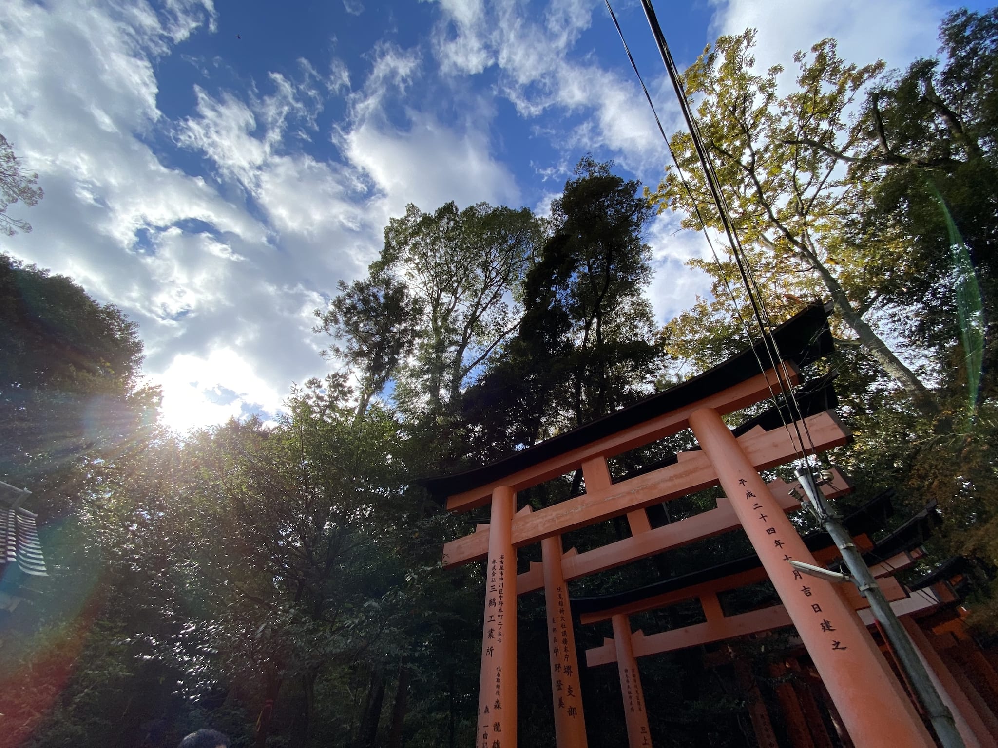 Fushimi Inari Taisha, gates, trees and blue sky
