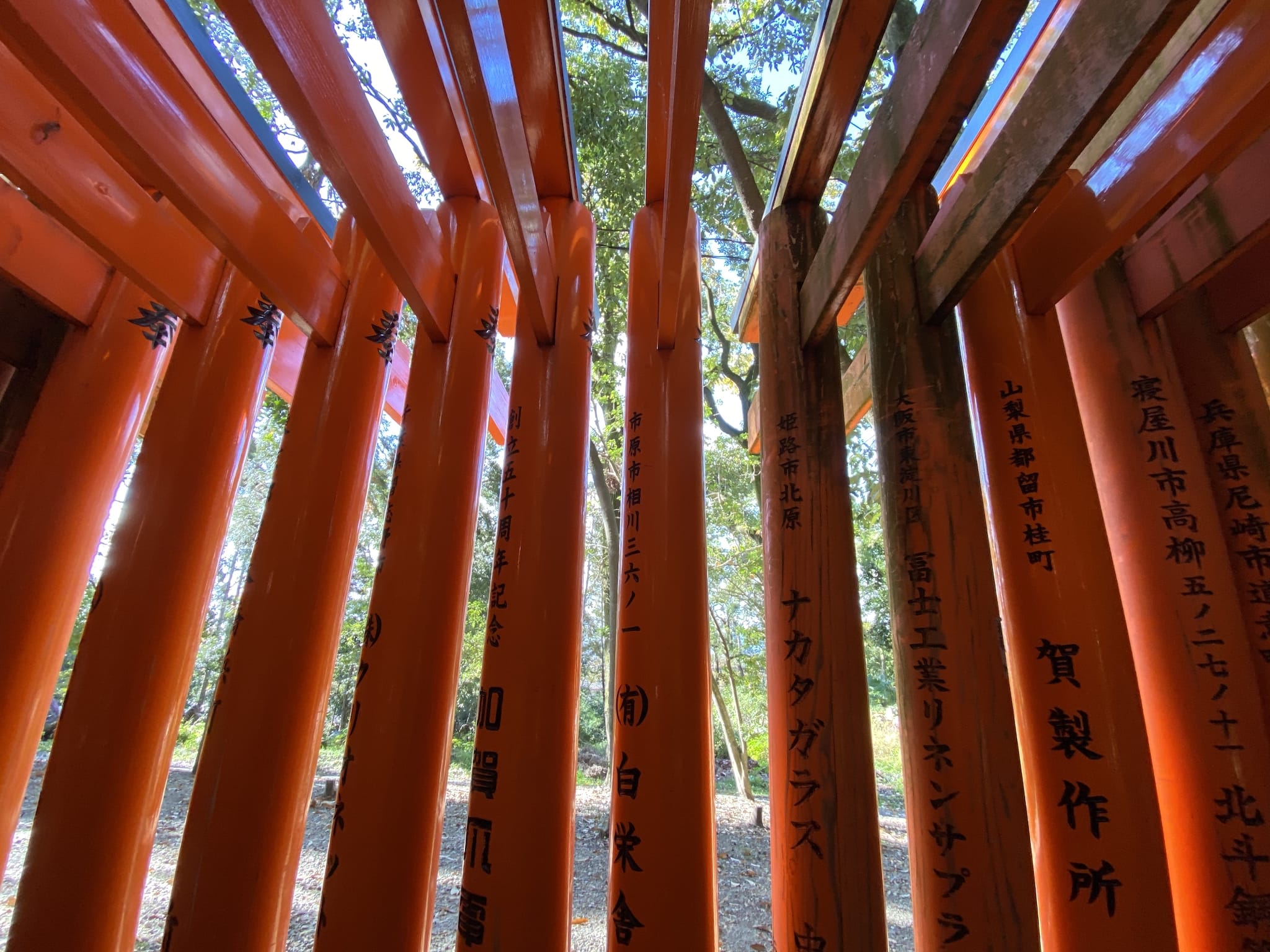 Fushimi Inari Taisha gates