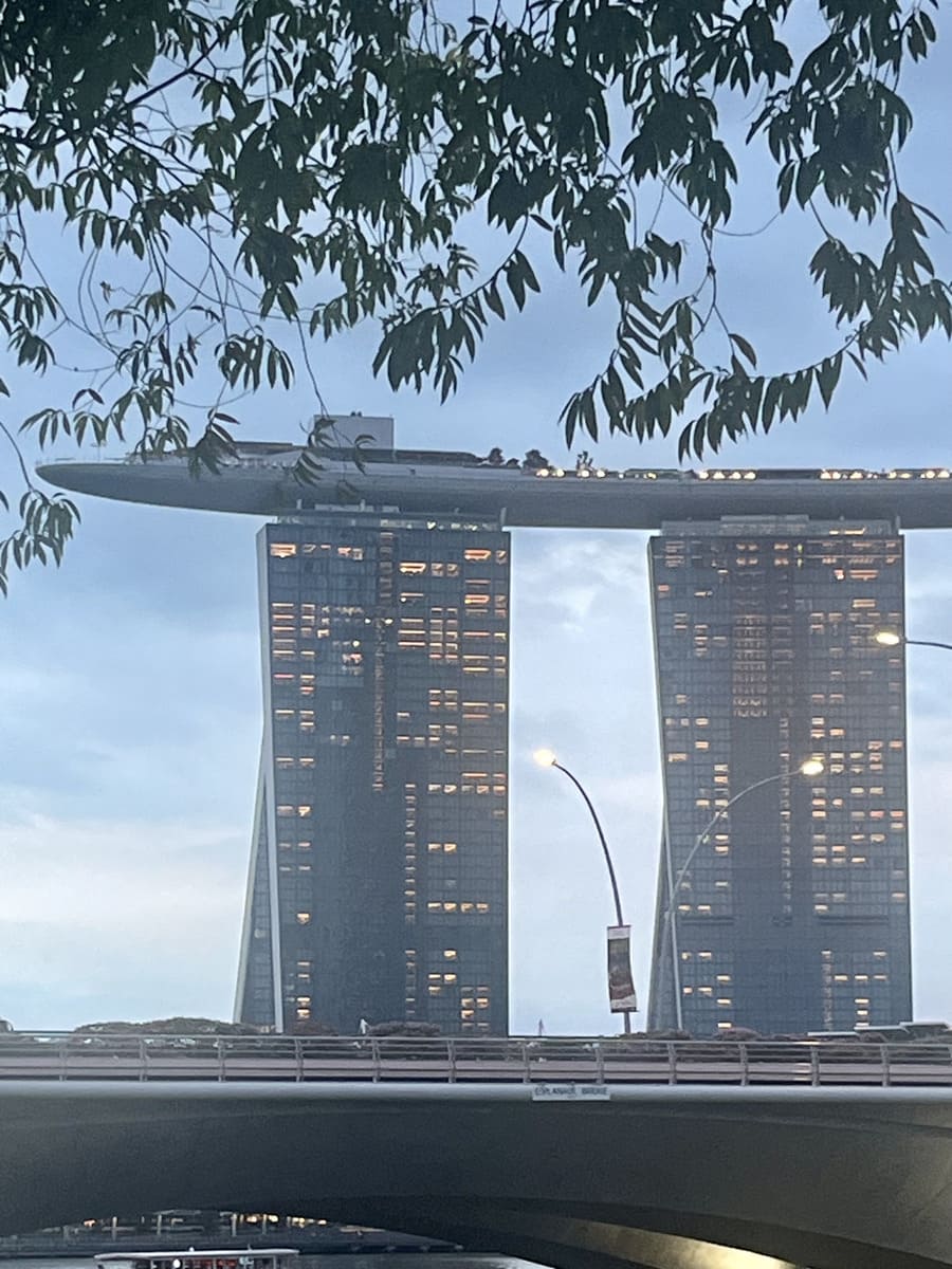 Marina Bay Sands, tree leaves and Esplanade Bridge, Singapore