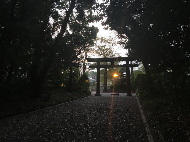 One of the Meiji Jingū shrines