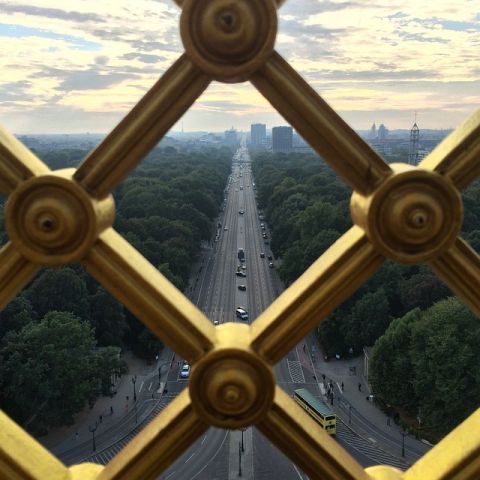 View from top of Victory Column