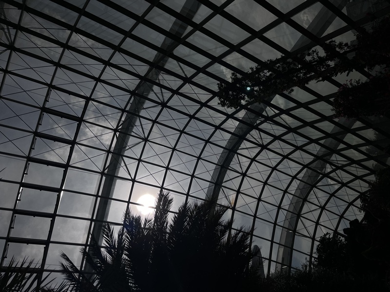 View of the sun from the ceiling of Flower Dome, Singapore