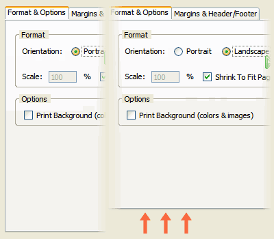 Changing height of the tab panel when selecting either Portrait or Landscape of the Page Setup window