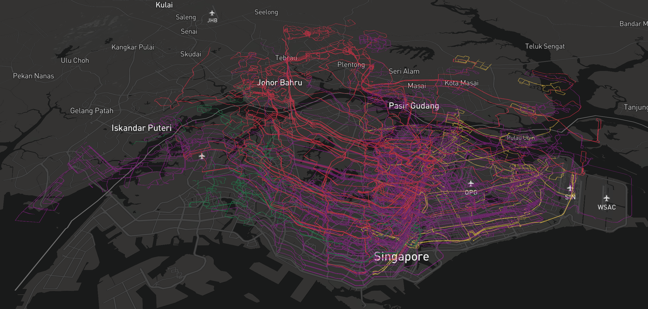 BusRouter SG visualization, showing all route lines floating on each other