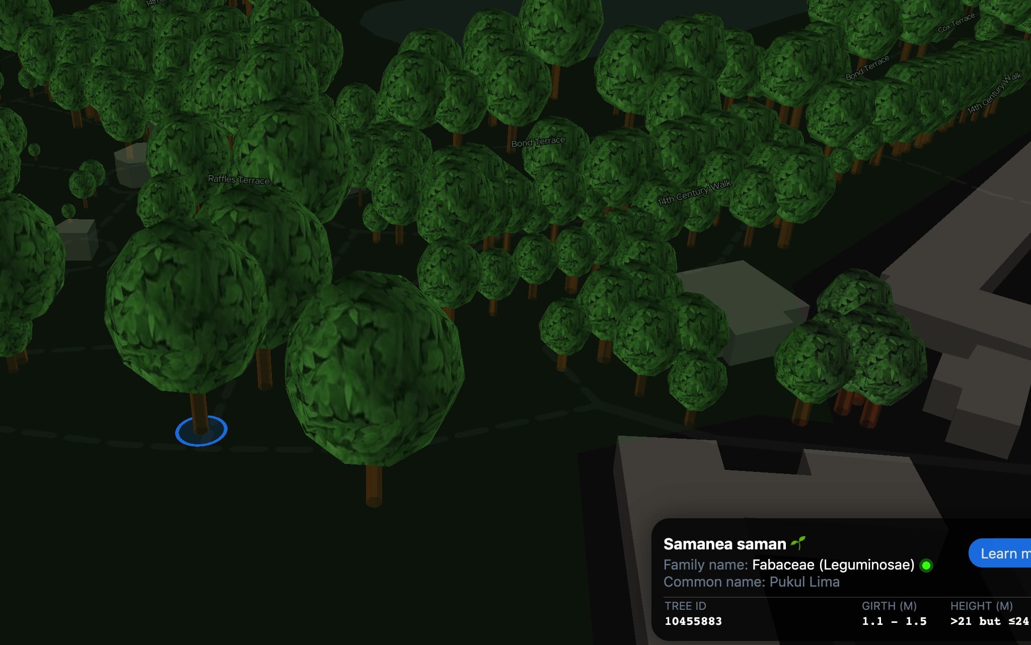 ExploreTrees.SG 3D realistic trees