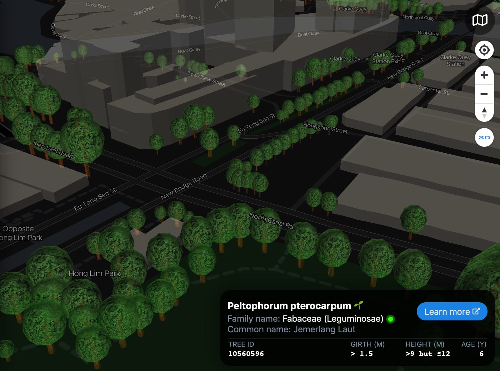 ExploreTrees.SG 3D realistic trees — trees at road intersection