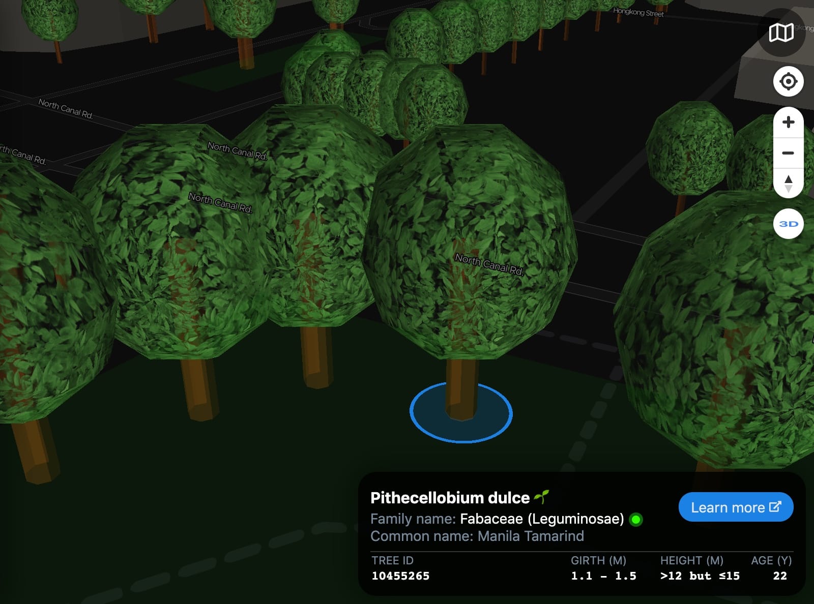 ExploreTrees.SG 3D realistic trees — highlighted tree and zoomed in