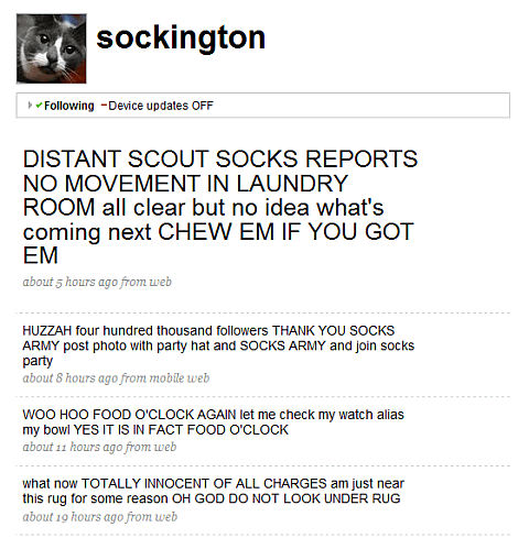 Twitter web site, showing @sockington's profile page