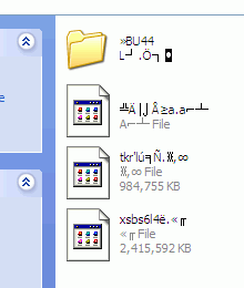 gibberish characters on the corrupted folder and file names in the USB drive, some displays incorrect file size values